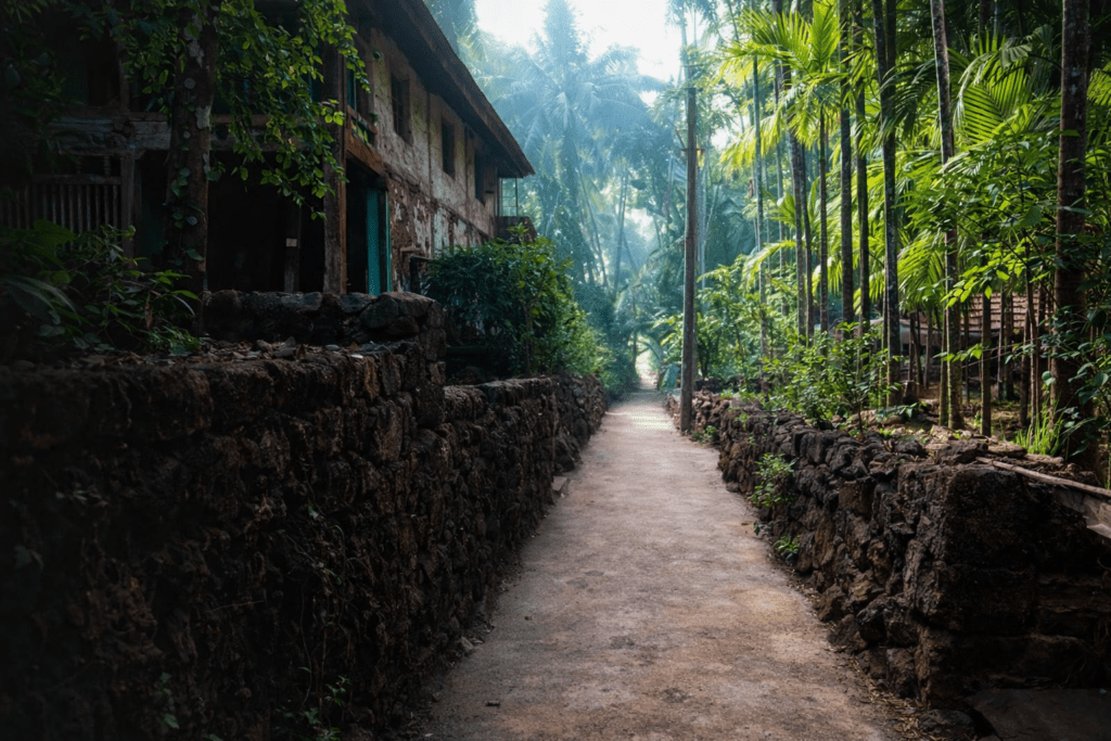Valley Winds and Coral Breeze Owners Strive to Put Kolthare Beach