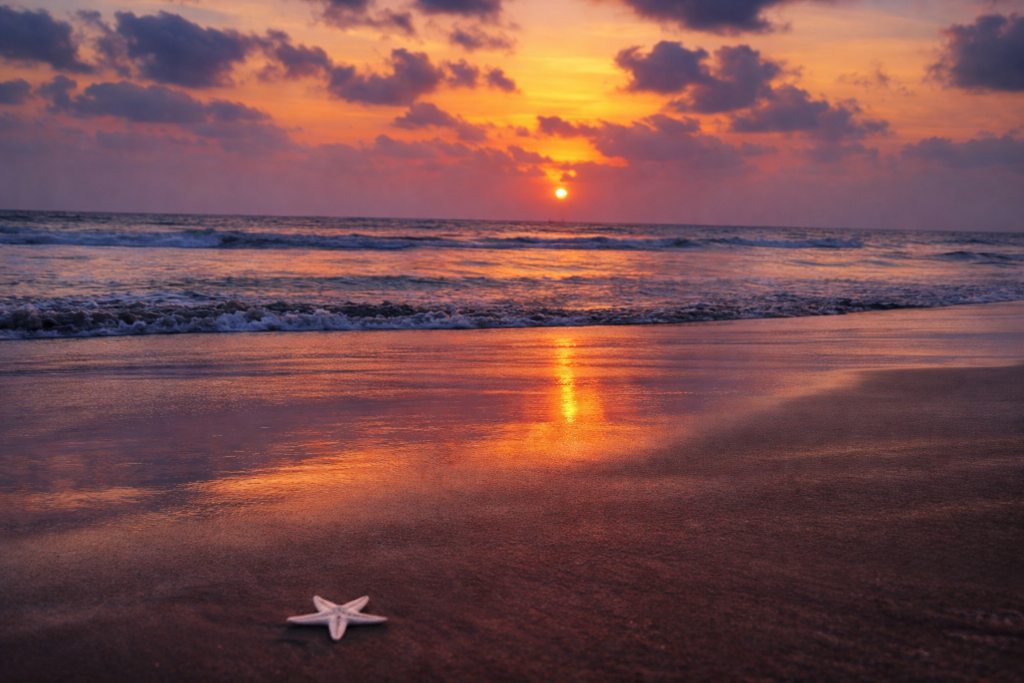 Beautiful Beaches of Maharashtra – Best Luxury Beach Stay in Kolthare