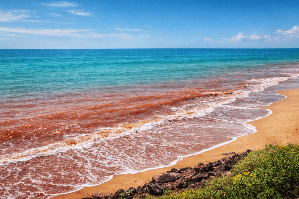Top 10 Beaches In Maharashtra (Handpicked for Luxury & Experience)